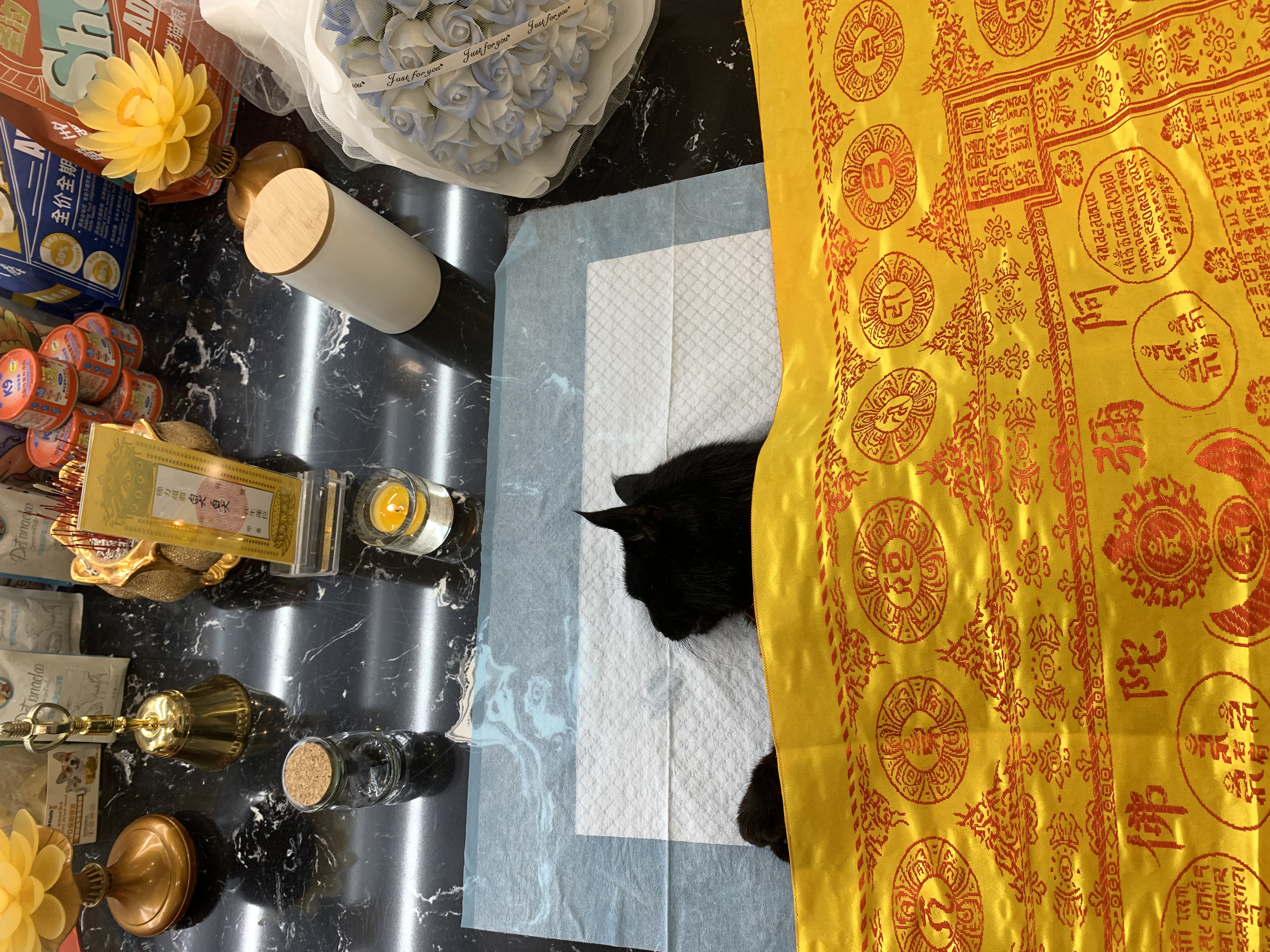 猫咪重量火化价格